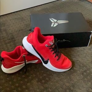 Nike Kobe Mamba Focus TB basketball shoes